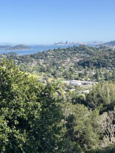 Edna Maguire Elementary School