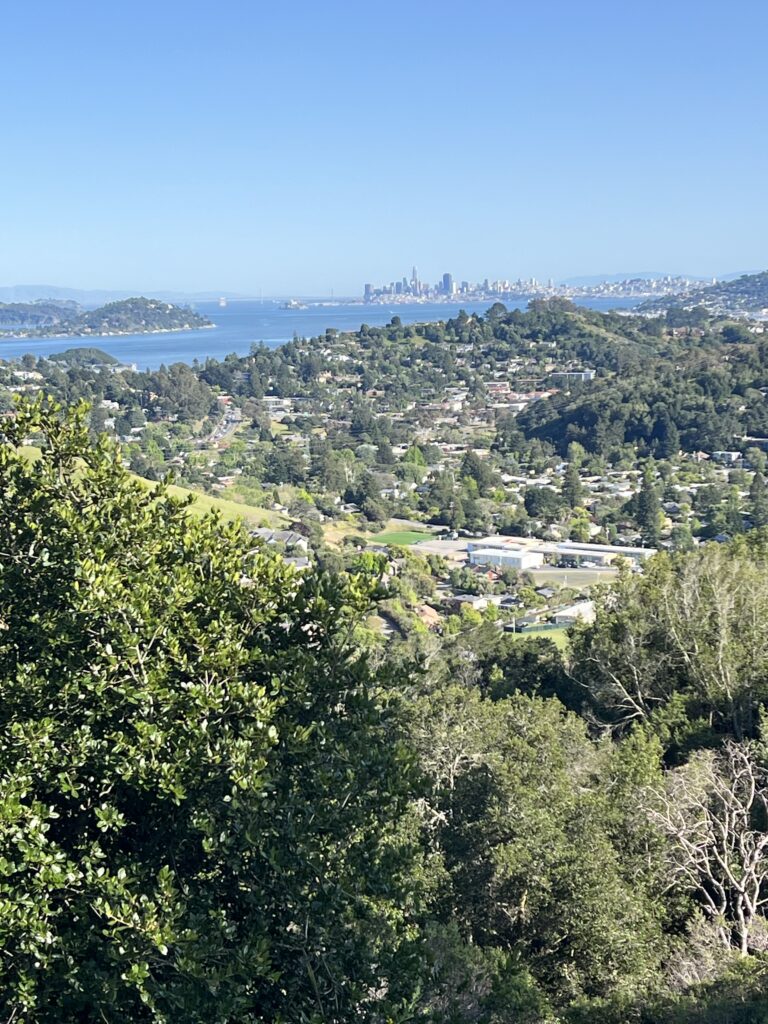 Edna Maguire Elementary School